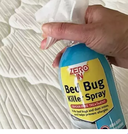 3 x Bed Bug & Dust Mite Killer Spray 500ml Bug Control Treatment Dust Repellent