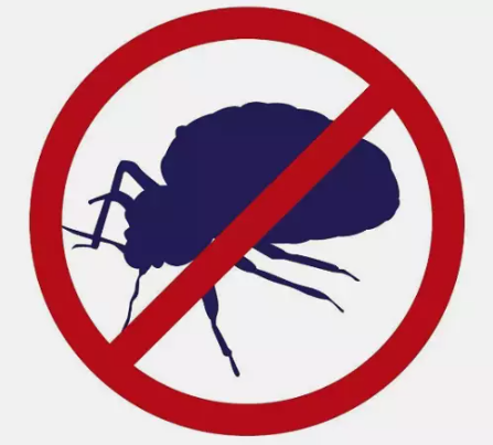 3 x Bed Bug & Dust Mite Killer Spray 500ml Bug Control Treatment Dust Repellent