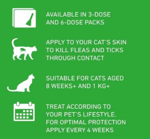 FrontLine Plus 6 Pack Pipettes Spot On Flea Treatment for Cats & Ferrets